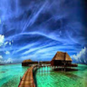 Meet your Posher, Zozo